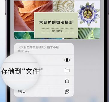 隆化apple维修中心分享iPhone文件应用中存储和找到下载文件