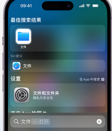 隆化apple维修中心分享iPhone文件应用中存储和找到下载文件