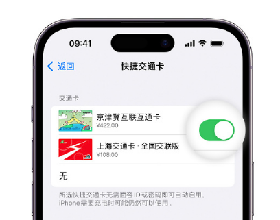 隆化apple维修点分享iPhone上更换Apple Pay快捷交通卡手绘卡面 