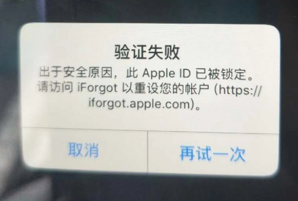 隆化iPhone维修分享iPhone上正常登录或使用AppleID怎么办 