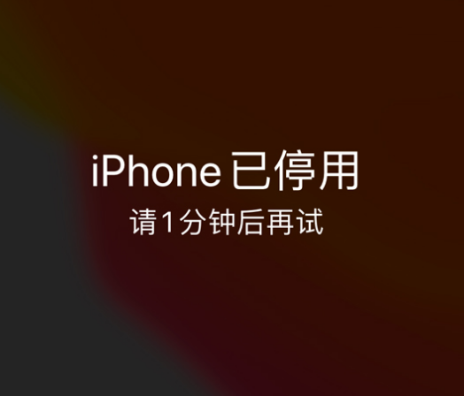 隆化苹果手机维修分享:iPhone 显示“不可用”或“已停用”怎么办？还能保留数据吗？ 