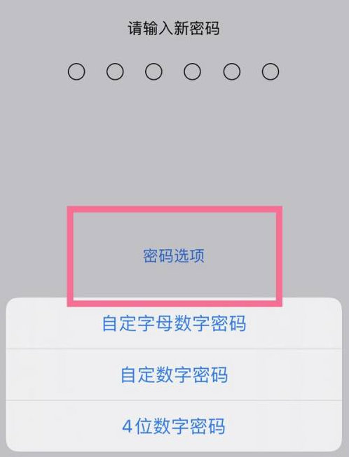 隆化苹果14维修分享iPhone 14plus设置密码的方法 