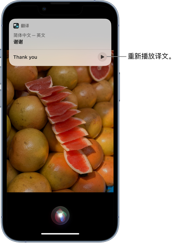 隆化苹果14维修分享 iPhone 14 机型中使用 Siri：了解 Siri 能帮你做什么 