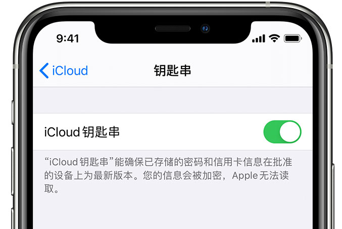 隆化苹果手机维修分享在 iPhone 上开启 iCloud 钥匙串之后会储存哪些信息 