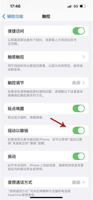 隆化苹果手机维修分享iPhone手机如何设置摇一摇删除文字 