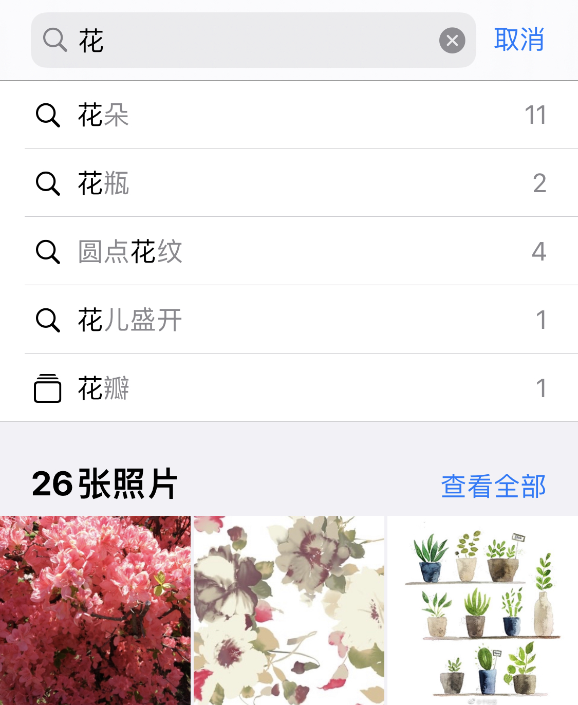 隆化苹果手机维修分享iPhone 小技巧 