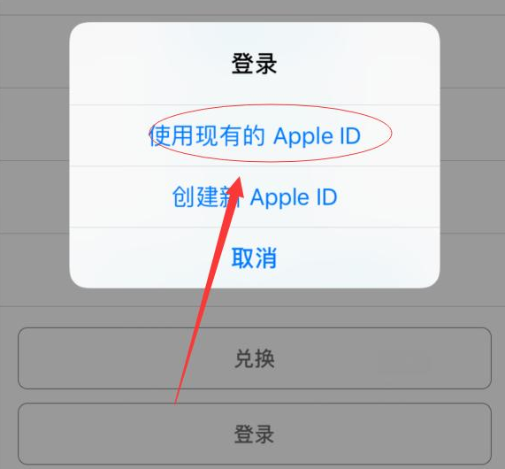 隆化苹果手机维修分享两台iPhone设备可以同时登录一个Apple ID吗 