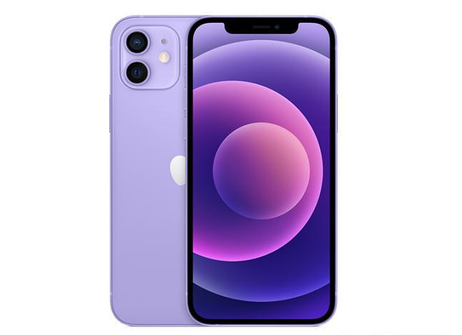 隆化苹果手机维修分享现阶段要不要入手紫色版iPhone12 