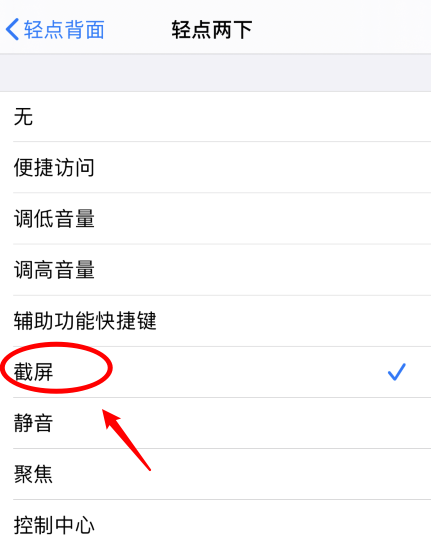 隆化苹果手机维修分享iPhone12如何启用双击截屏 