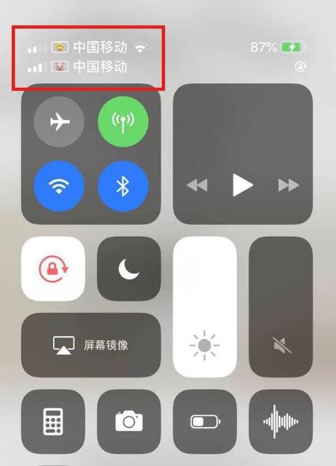 隆化苹果手机维修分享为 iPhone 12 双卡设置标签 